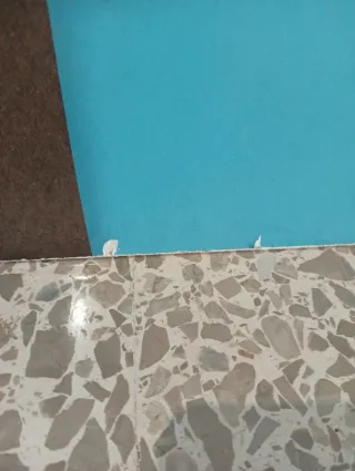 Cuadro Decorativo Búhos Multicolor