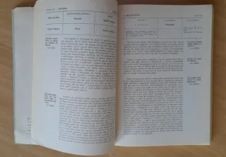 Due libri La Divina Commedia (paradiso-purgatorio)