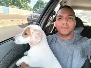 Paseo y cuido perros, cuidado y limpieza de casas