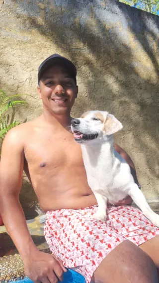 Paseo y cuido perros, cuidado y limpieza de casas