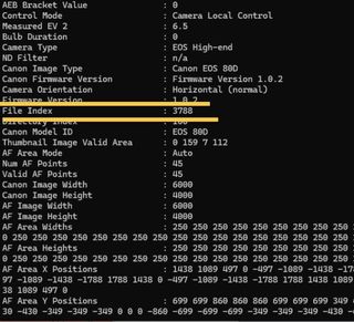 Canon 80D 3800 disparos