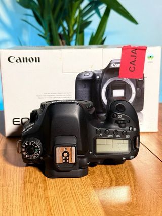 Canon 80D 3800 disparos