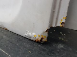 PORTON TRASERO IZQUIERDO MERCEDES-BENZ SPRINTER C