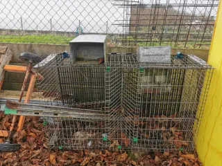 Jaula metálica para animales doble con comederos.