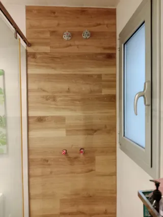 Soy paleta ,busco faena