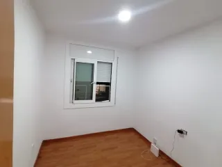 Soy paleta ,busco faena