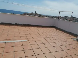 Soy paleta ,busco faena