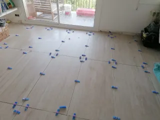 Soy paleta ,busco faena