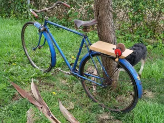 Bicicleta Varillas Afilador Marca LAGO(GAC)años 60