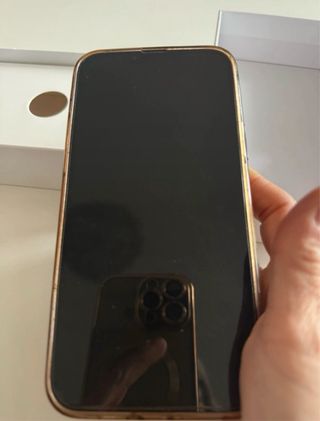 iPhone 13 Pro Max 256 GB Libre con Caja