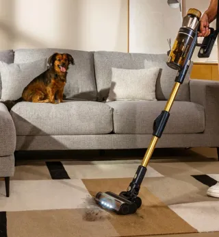 Aspirador Conga Rockstar RS90 Pet Flex