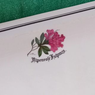 Piatto H&C Czechoslovakia Albergo Tirolese '40