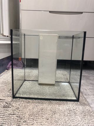 Acuario pequeño con filtro