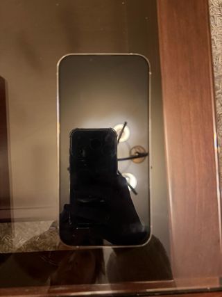iPhone 13 Pro 128GB Bianco/Oro