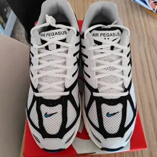 Nike Air Pegasus 2005 Talla 43