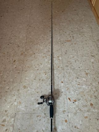 Caña de Pesca Casting