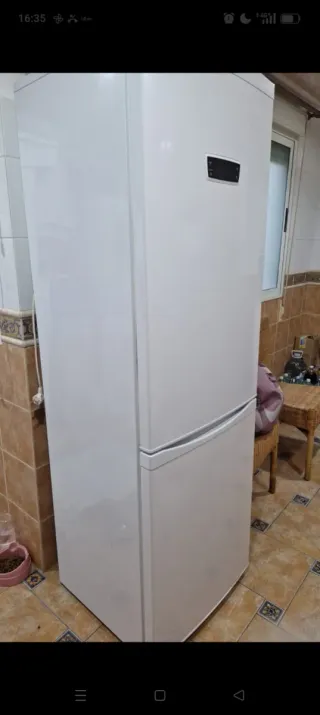 Nevera blanca, ha dejado de enfríar