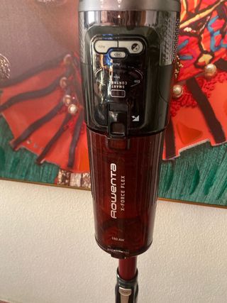 Aspirador Rowenta X-Force Flex 13.60 Animal Care