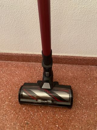 Aspirador Rowenta X-Force Flex 13.60 Animal Care