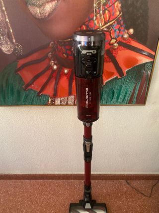 Aspirador Rowenta X-Force Flex 13.60 Animal Care