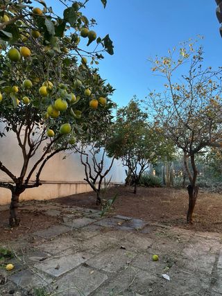 Alquiler habitación 400€ gastos incluidos