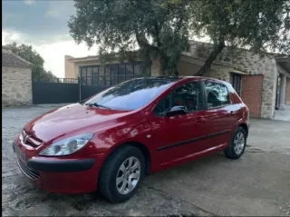 Peugeot 307 2001