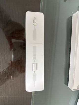 Apple Pencil 1ª Gen