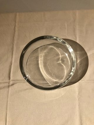 Ciotola in vetro trasparente