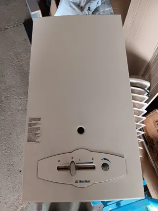 Calentador de agua a gas Neckar