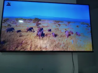 Televisor Hisense 65 pulgadas