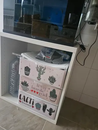 Acuario Aquatlantis 55L con accesorios y mueble