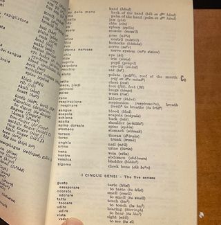 R. Musu-Boy: parlo inglese - Vallardi