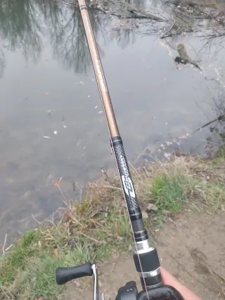 Caña Cinnetic Swimbait