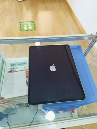 iPad Pro 12.9 5ª Gen 256GB Plata