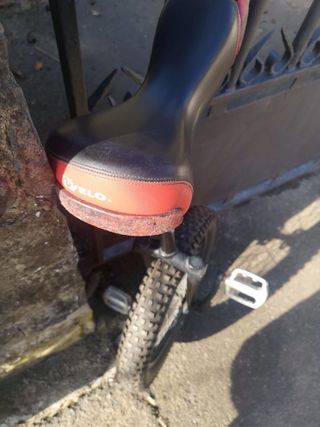 Monociclo Monty Trial