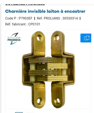 Cerniere a scomparsa