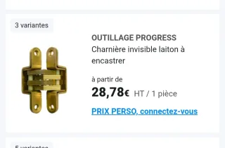 Cerniere a scomparsa