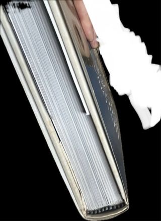 Historia de la Belleza. Umberto Eco