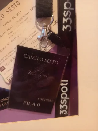 Recuerdo Concierto Camilo Sesto: