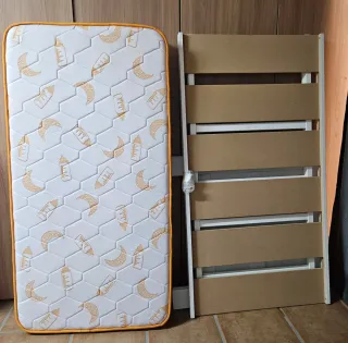 Cuna evolutiva Cotinfant Europa