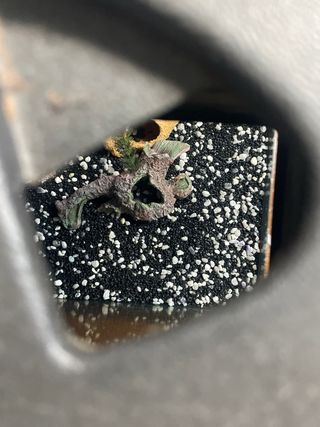 Acuario cristal con tapa y decoración