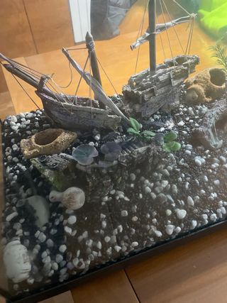 Acuario cristal con tapa y decoración