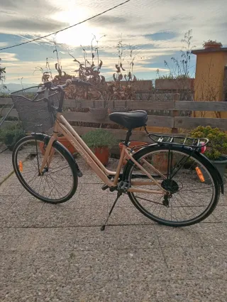 Bicicleta Monty tipo holandesa