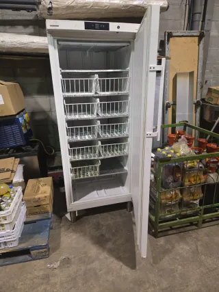 Congelador Vertical Liebherr