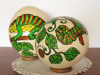 Uovo Struzzo Decorato Camaleonte. Prezzo 1 pezzo