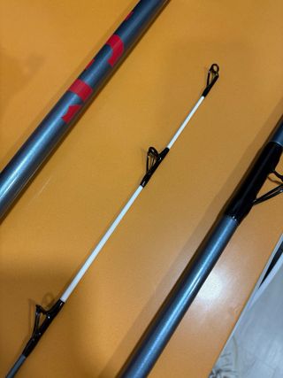 Caña y carrete surfcasting