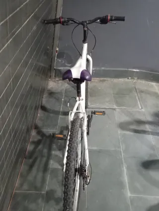 Bicicleta de Montaña Blanca