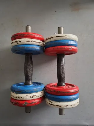 Manubri regolabili con dischi