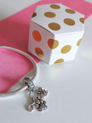 CHARM HUELLA PERRO GATO COLGANTE PANDORA CAJA