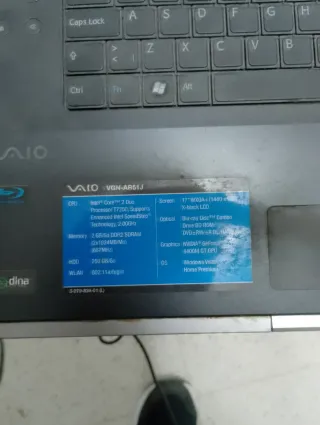 Portátil Sony VAIO Negro y fuente alimentación